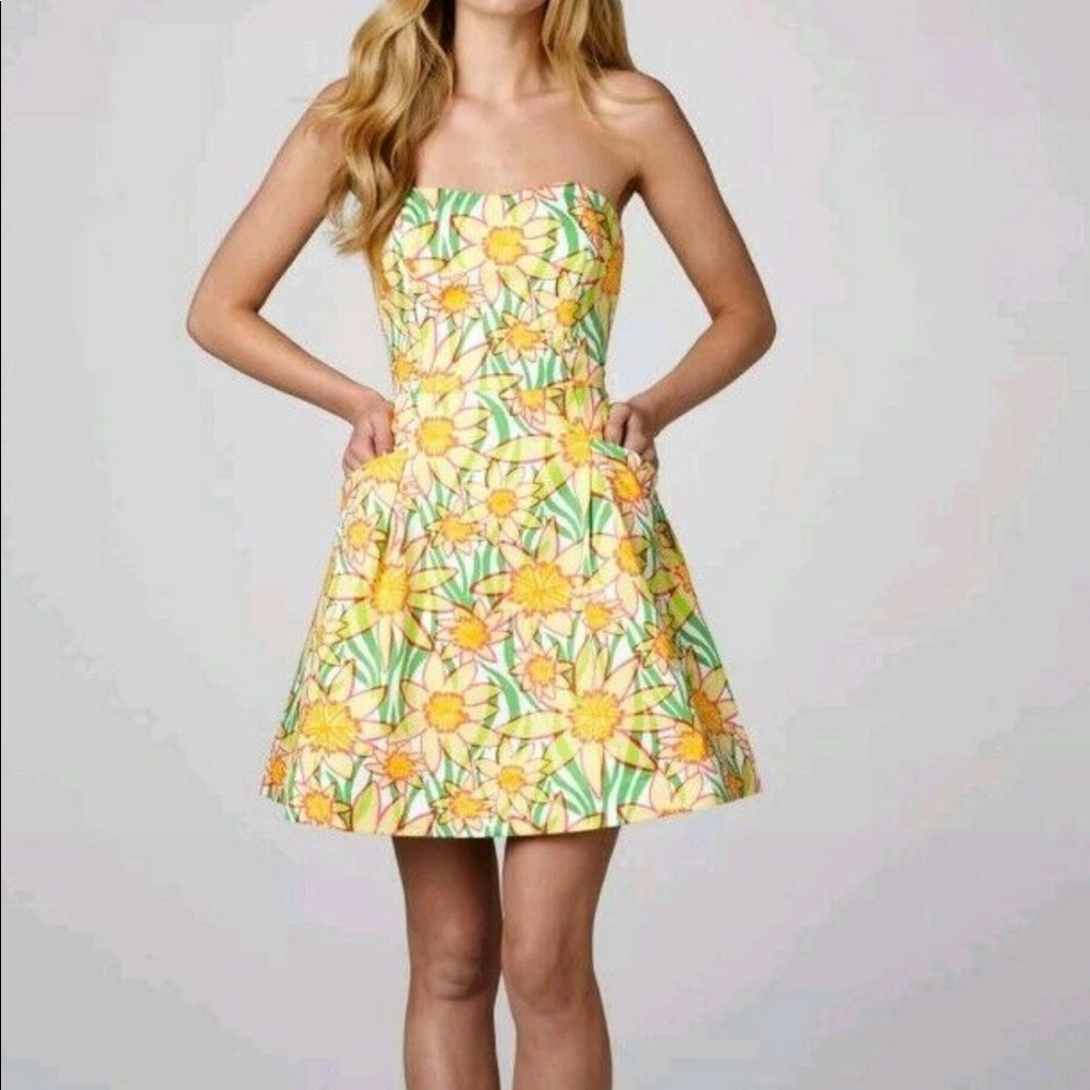 Lilly Pulitzer Wyatt dress